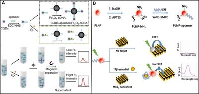 17β-estradiol biosensors based on different bioreceptors and their applications